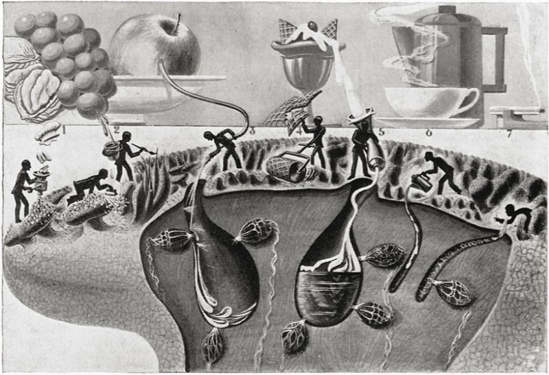 Illustration for article titled Fritz Kahn's Whimsical Infographics Turn People Into Contraptions